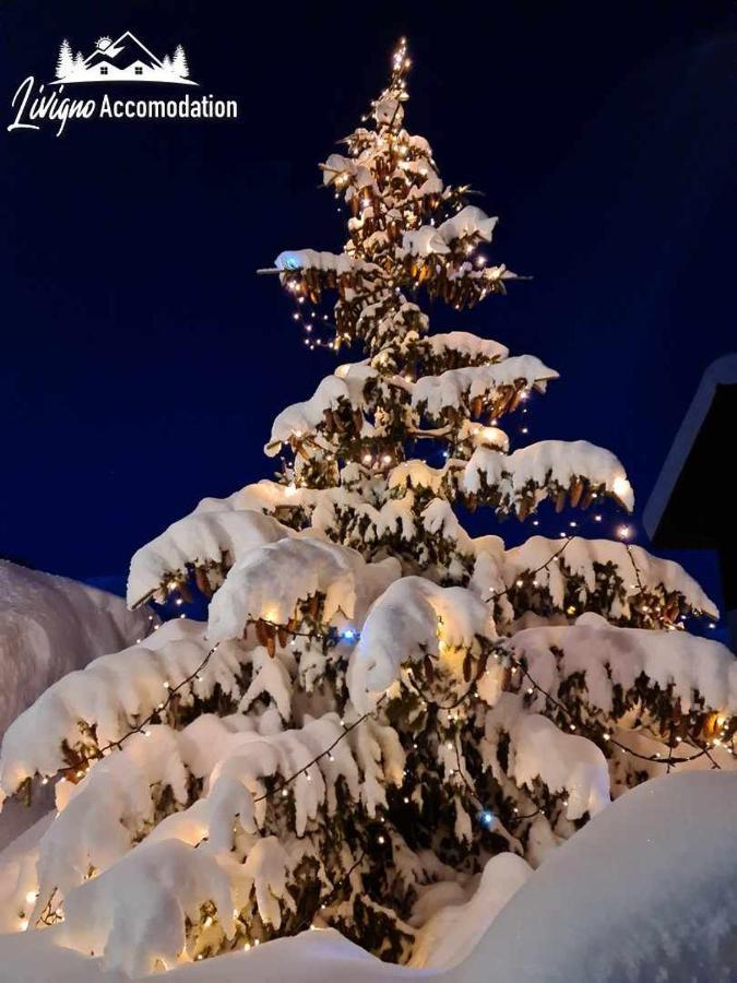 Alpen Royal By Livigno Accomodation Exteriér fotografie